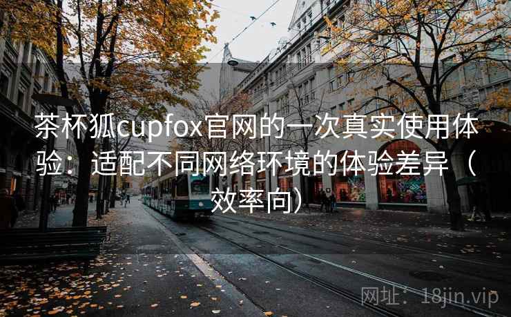 茶杯狐cupfox官网的一次真实使用体验：适配不同网络环境的体验差异（效率向）