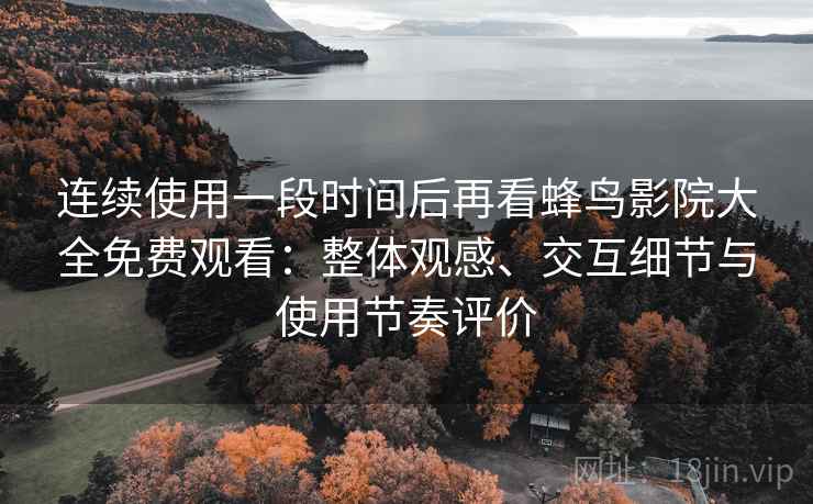 连续使用一段时间后再看蜂鸟影院大全免费观看：整体观感、交互细节与使用节奏评价