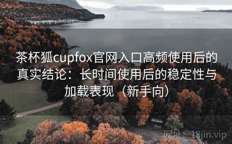 茶杯狐cupfox官网入口高频使用后的真实结论：长时间使用后的稳定性与加载表现（新手向）