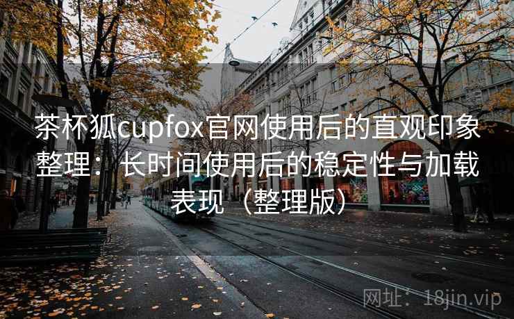茶杯狐cupfox官网使用后的直观印象整理：长时间使用后的稳定性与加载表现（整理版）