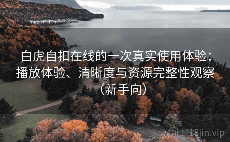 白虎自扣在线的一次真实使用体验：播放体验、清晰度与资源完整性观察（新手向）