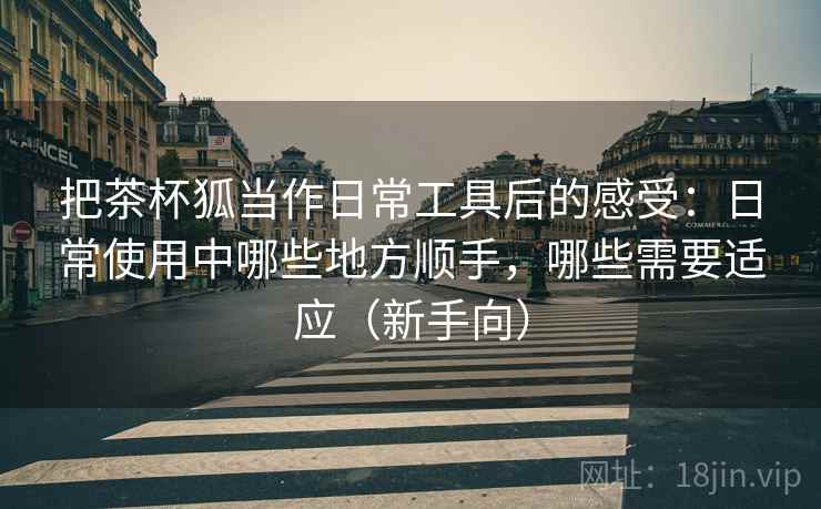 把茶杯狐当作日常工具后的感受：日常使用中哪些地方顺手，哪些需要适应（新手向）