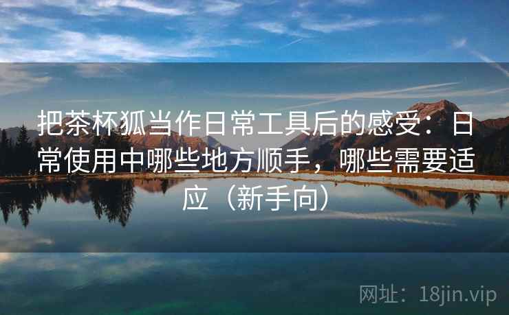 把茶杯狐当作日常工具后的感受:日常使用中哪些地方顺手,哪些需要适应(新手向) 把茶杯狐当作日常工具后的感受:日常使用中哪些地方顺手,哪些需要适应(新手向)